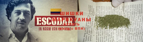 СК Волосово