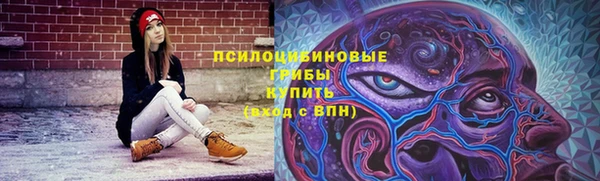 СК Волосово