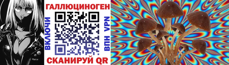где продают   мега сайт  Галлюциногенные грибы ЛСД  Невинномысск 